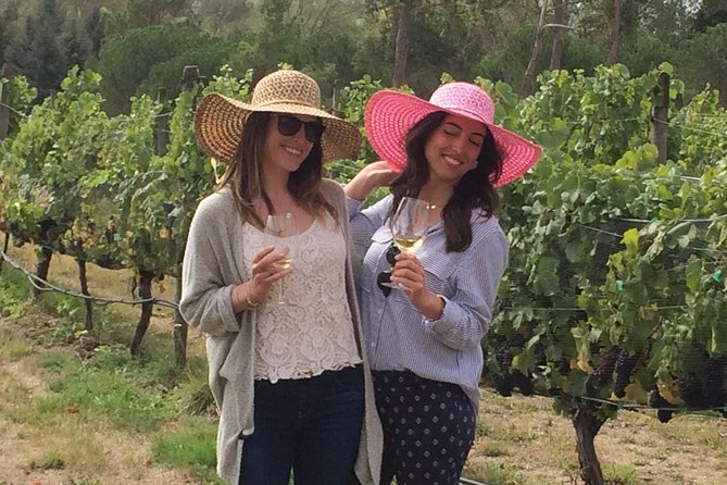Full-Day Wine Gourmet and Scenic Delight Tour of Marlborough from Blenheim - Why this six-hour Marlborough tour works