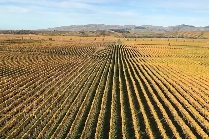 Full-Day Wine Gourmet and Scenic Delight Tour of Marlborough from Blenheim - Allan Scott brings unusual Marlborough flavors