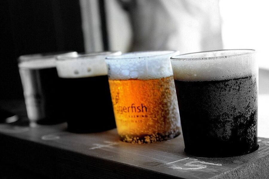 Gdansk: Polish Beer Tasting Tour - Practical details that shape your evening