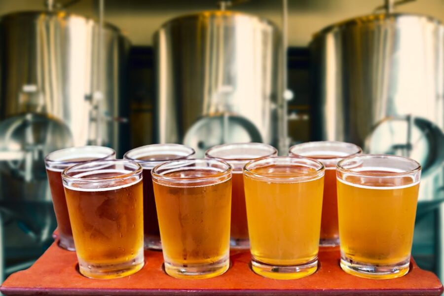 Gdansk Private Polish Beer Tasting Tour at Best Pubs & Bars - Who should book this experience?