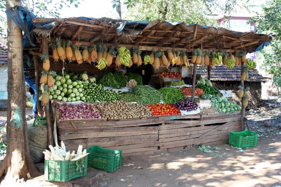 Goa Street Food Crawl: Authentic Food Tasting Experience - Shimada and the Value of a Good Food Guide