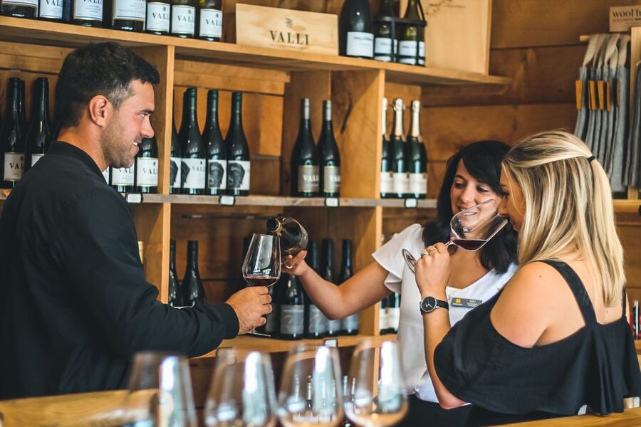 Gourmet Food and Wine Tour with Lunch and Wine Tastings - Four vineyards without a factory feel