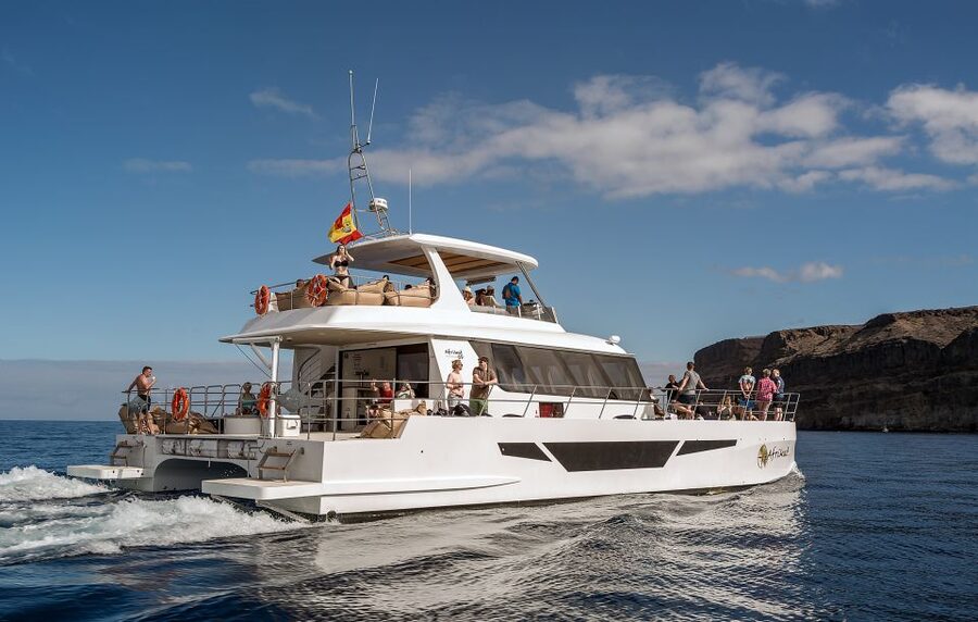Gran Canaria: Afternoon Catamaran Cruise with Food & Drink - Practical tips for a smoother afternoon