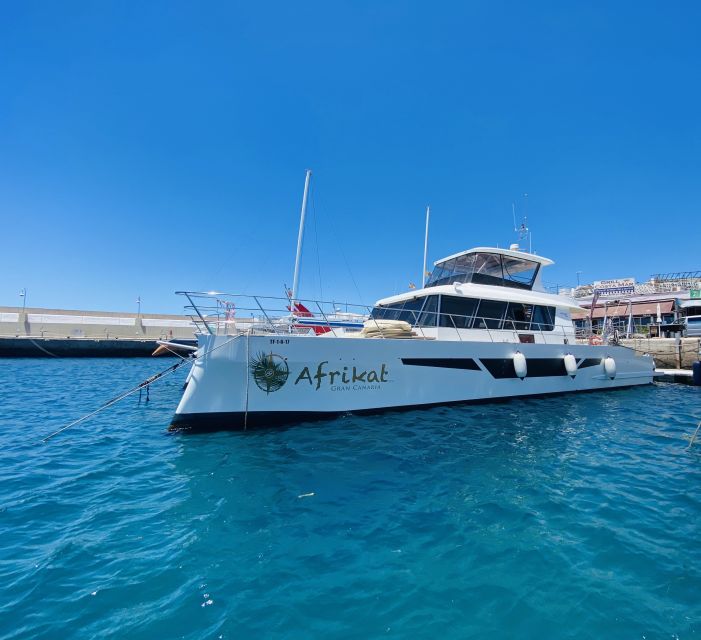 Gran Canaria: Fun Catamaran Cruise with Food and Drinks - Who should book this cruise?
