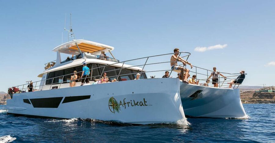Gran Canaria: Fun Catamaran Cruise with Food and Drinks - Cruising the southwest coast of Gran Canaria