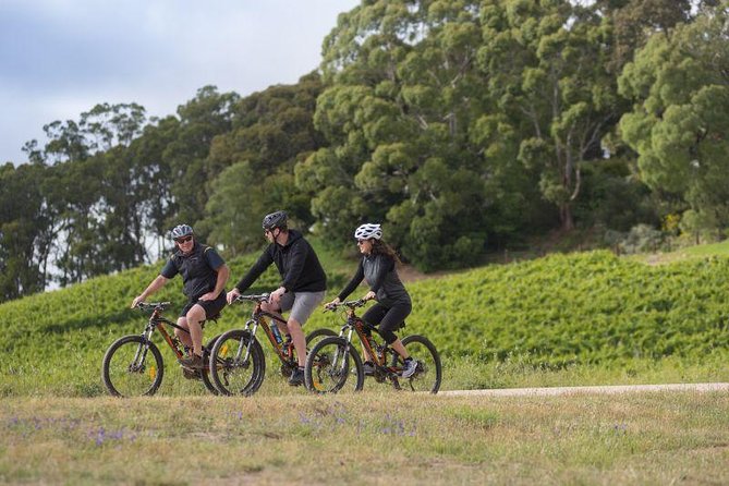 Hahndorf food and wine E-Bike Tour - Key points before you book