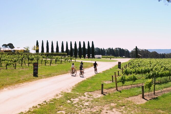 Hahndorf food and wine E-Bike Tour - The Lane Vineyard closes the loop
