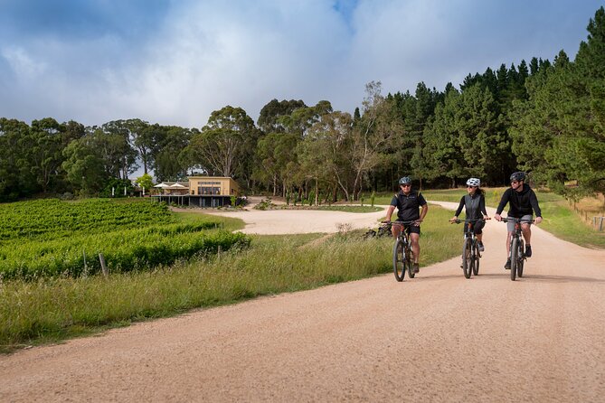 Hahndorf food and wine E-Bike Tour - What the $182.90 price buys you