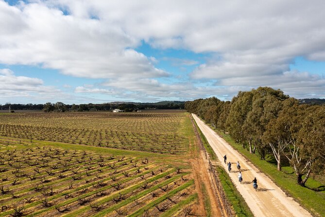 Hahndorf food and wine E-Bike Tour - Beerenberg adds a hands-on stop