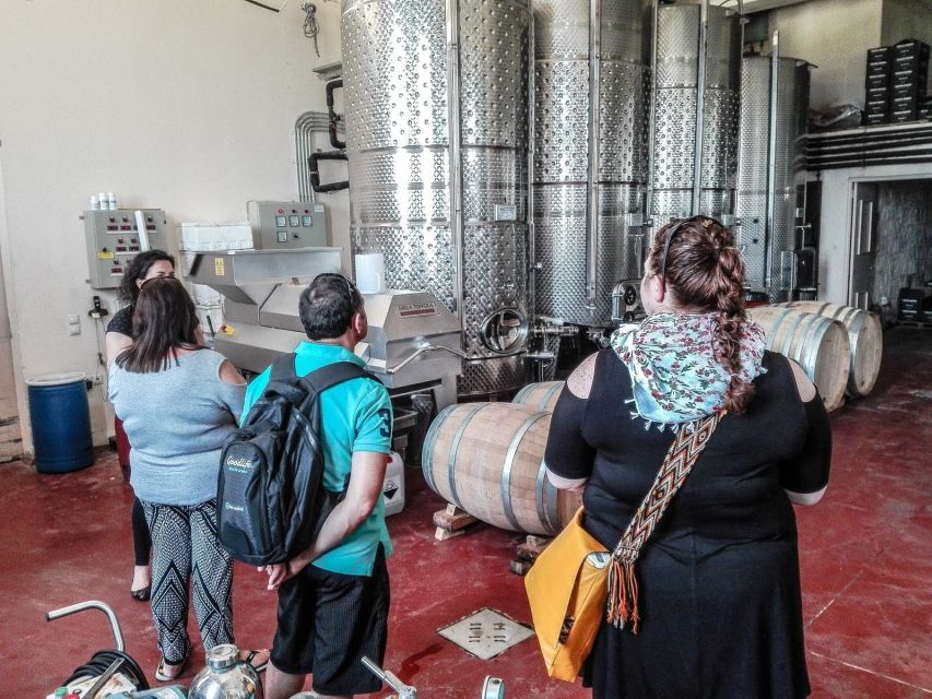 Heraklion: Cretan Wine Tasting Tour & Gourmet Lunch - The long lunch in the wine region