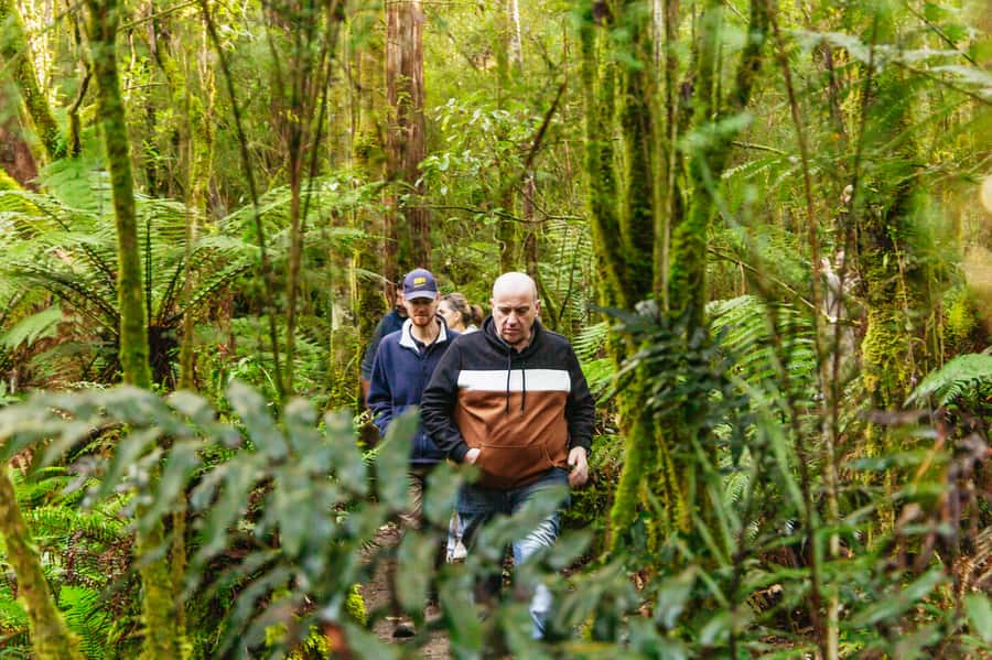 Hobart: Bruny Island Gourmet Sightseeing Day Tour - Key points at a glance
