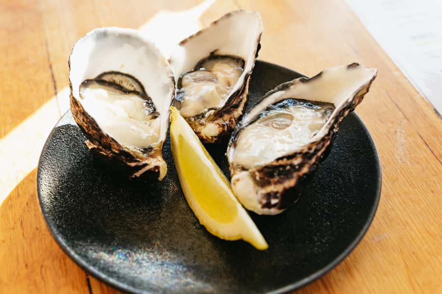 Hobart: Bruny Island Gourmet Sightseeing Day Tour - Lunch beside Adventure Bay