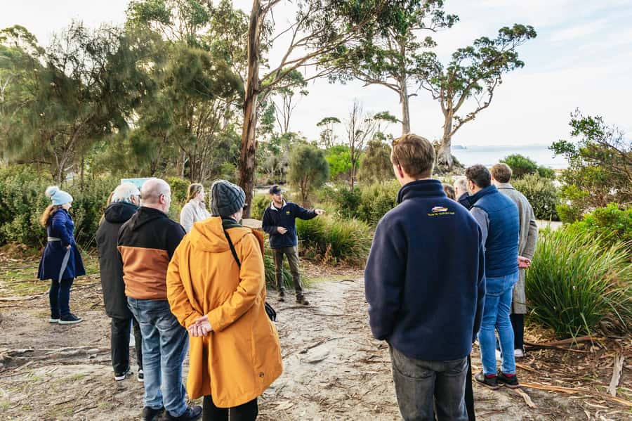 Hobart: Bruny Island Gourmet Sightseeing Day Tour - Why Bruny Island works so well as a day trip
