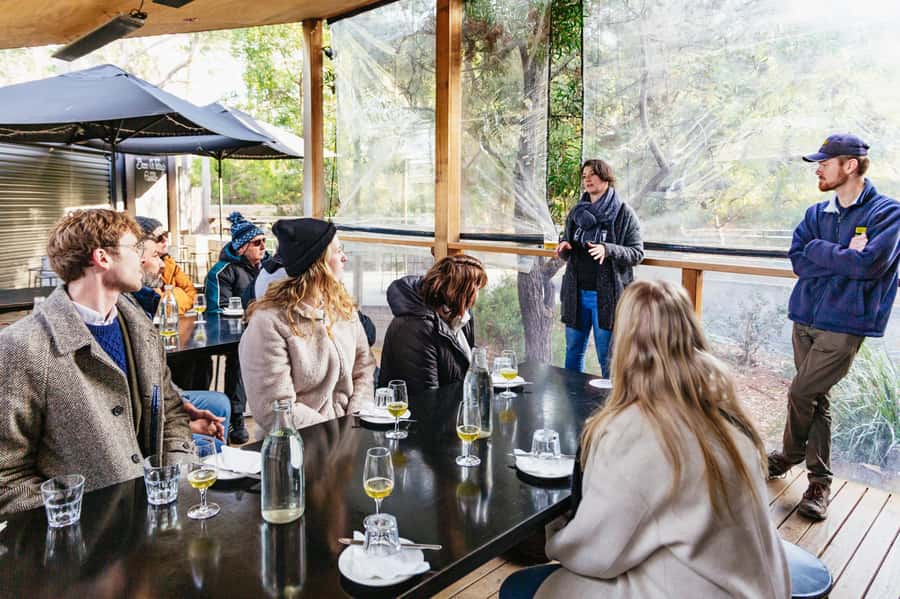 Hobart: Bruny Island Gourmet Sightseeing Day Tour - The ferry crossing and the start of island time