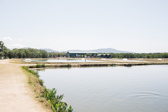 Hook-a-Barra Gourmet Farm Tour - Practical planning for the Daintree area