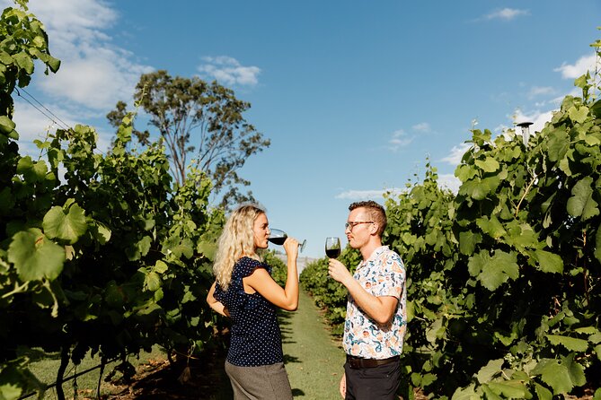 Hop on Hop off Wine tasting tour to Tamborine Mountain - Weather, timing, and the feel of the day