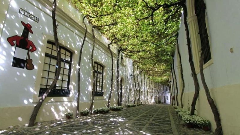 Jerez: 1.5-Hour Sherry Winery and Tasting Tour - Why Jerez is the right place to learn about sherry