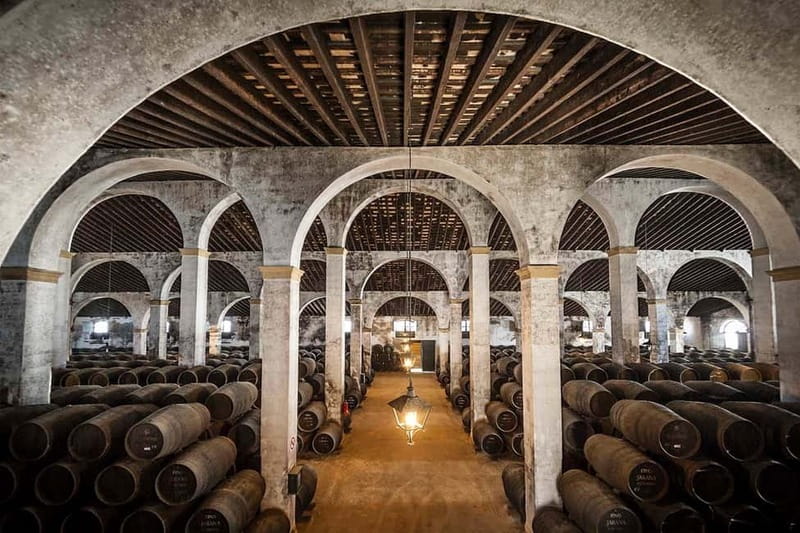 Jerez: 1.5-Hour Sherry Winery and Tasting Tour - Walking through a major Spanish bodega