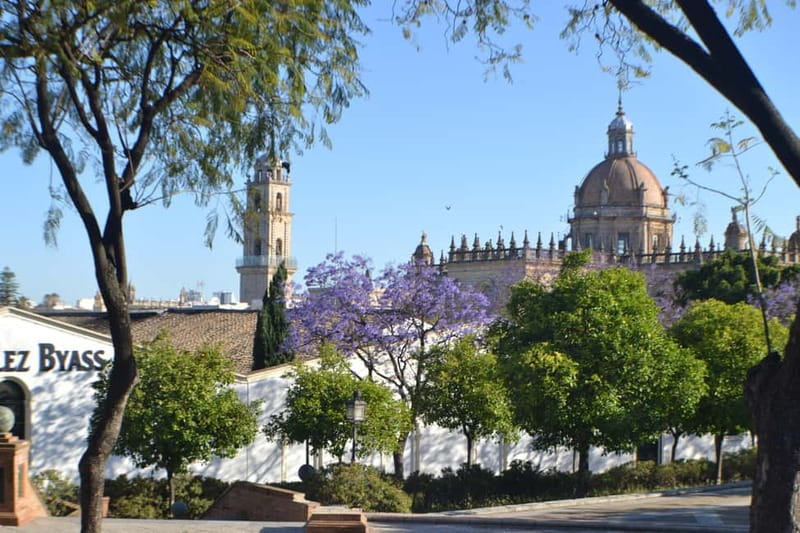 Jerez: 1.5-Hour Sherry Winery and Tasting Tour - What recent feedback tells you