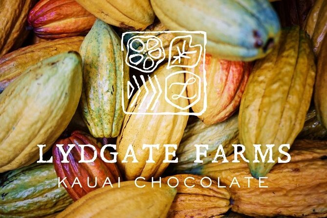 Kauai Chocolate Farm Tasting Tour - What makes Lydgate Farms worth your afternoon