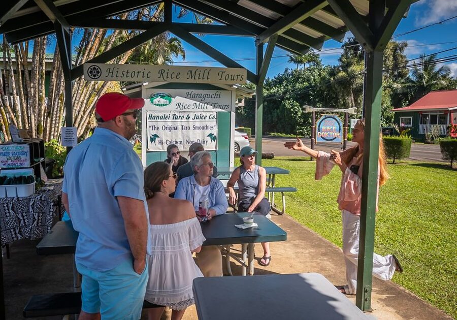 Kauai: Local Tastes Small Group Food Tour - Who will enjoy this tour most