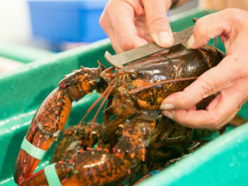 Kennebunkport, Maine: Lunchtime Culinary Walking Tour - Is $149 a Fair Price?