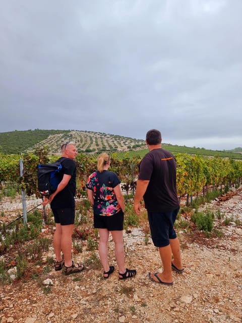 Korcula: Buggy Safari with Local Food and Wine Tasting - Should you book Korcula Buggy Official?