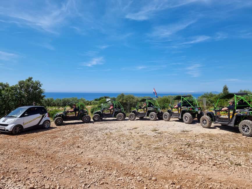Korcula: Buggy Safari with Local Food and Wine Tasting - Who will enjoy this most