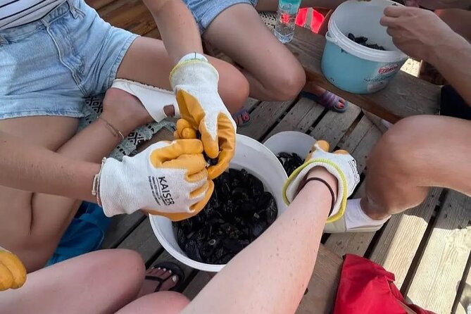 Ksamil: Mussel Sailing Tour with Food and Drink in Albania - Separating mussels with the local family
