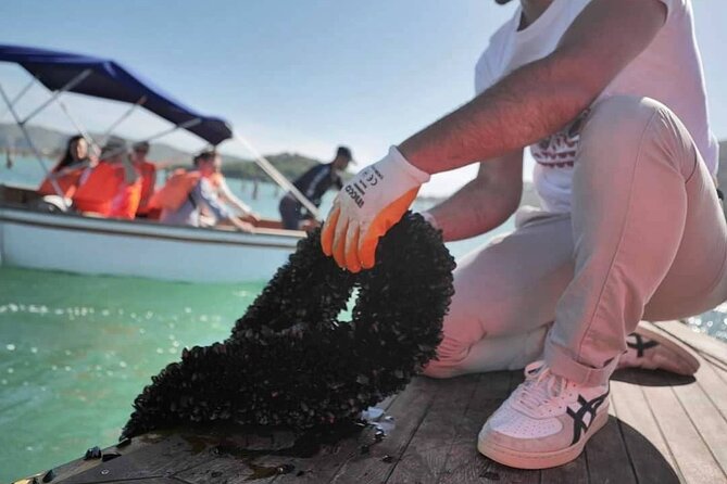 Ksamil: Mussel Sailing Tour with Food and Drink in Albania - Cooking two mussel dishes with a local chef
