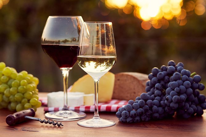 Lebanon Wine Tasting Tour From Beirut - Chateau Rayak brings the family touch