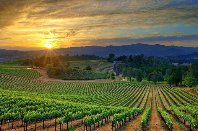 Lebanon Wine Tasting Tour From Beirut - What the guides add, and where the tour can fall short