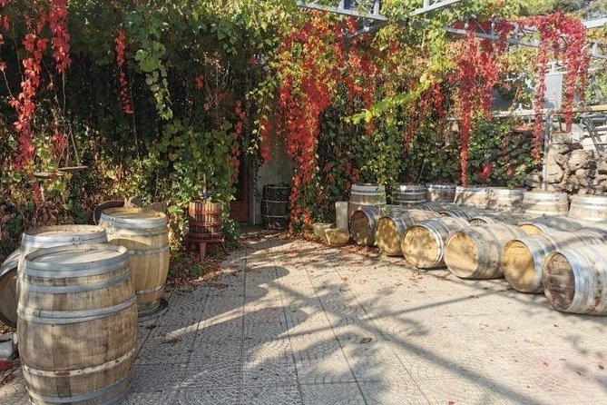 Lebanon Wine Tasting Tour From Beirut - Is $91.03 a fair price?