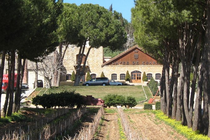 Lebanon Wine Tasting Tour From Beirut - Who should choose this Bekaa Valley day trip?
