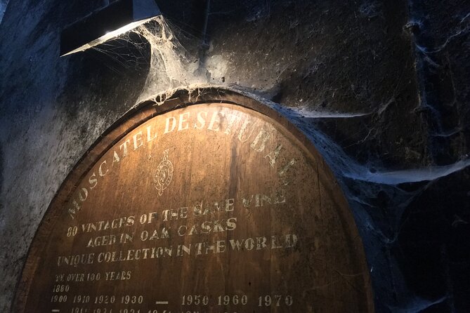 Lisbon Getaway: Private Arrábida Wine & Food Tour - Arrábida’s Viewpoints Bring the Atlantic Into the Picture