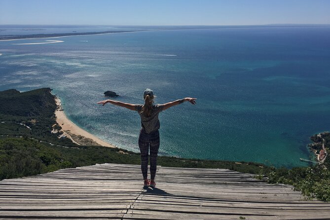 Lisbon Getaway: Private Arrábida Wine & Food Tour - Bacalhôa: Wine, Art, and a More Polished Visit