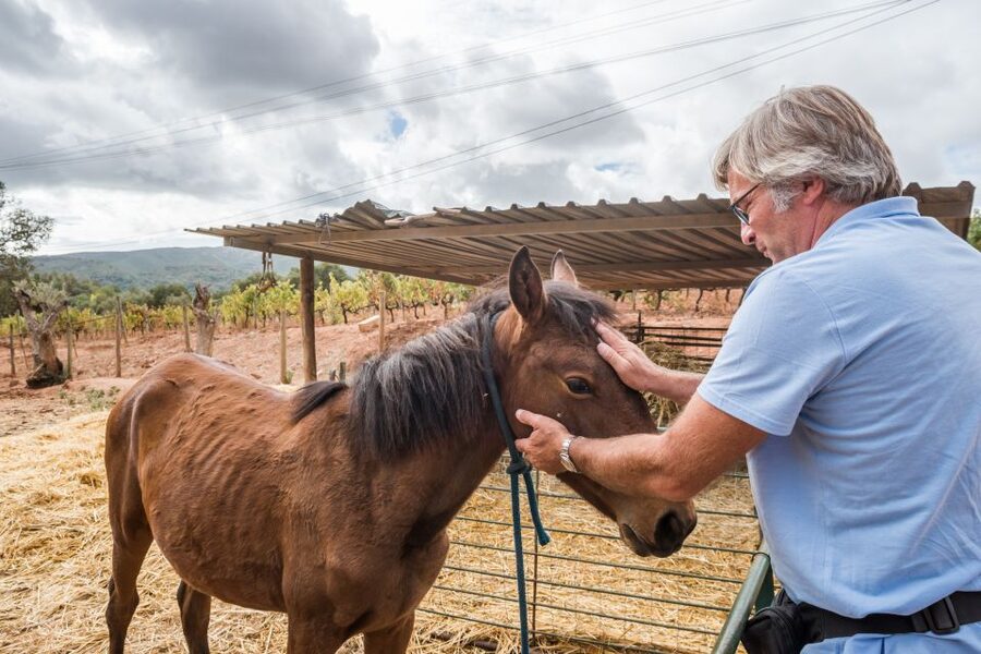 Lisbon Private Setúbal Region Wine Tasting Tour - Guides who make the day work
