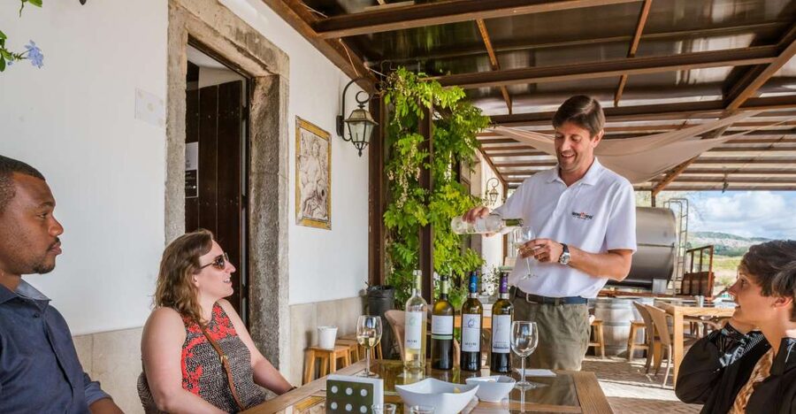 Lisbon Private Setúbal Region Wine Tasting Tour - Choosing three wineries or a full lunch