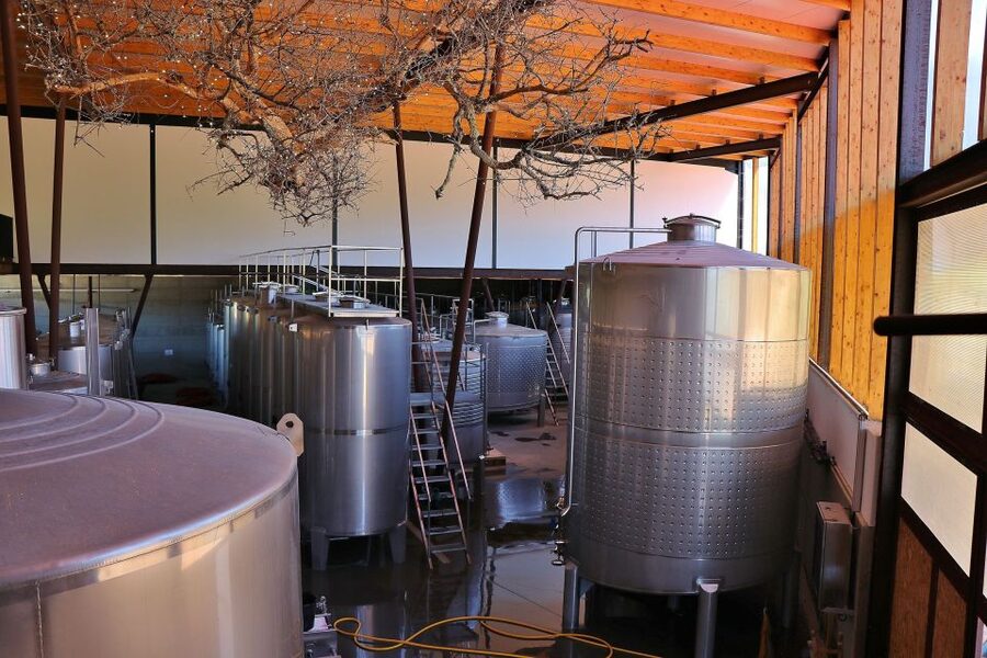 Lisbon Private Setúbal Region Wine Tasting Tour - Arrábida views and the history of the mountains