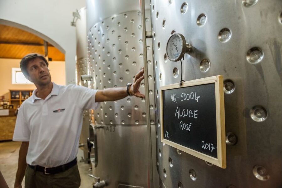 Lisbon Private Setúbal Region Wine Tasting Tour - What the private format adds