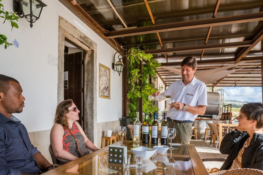 Lisbon Private Setúbal Region Wine Tasting Tour - José Maria da Fonseca and seven generations of winemaking