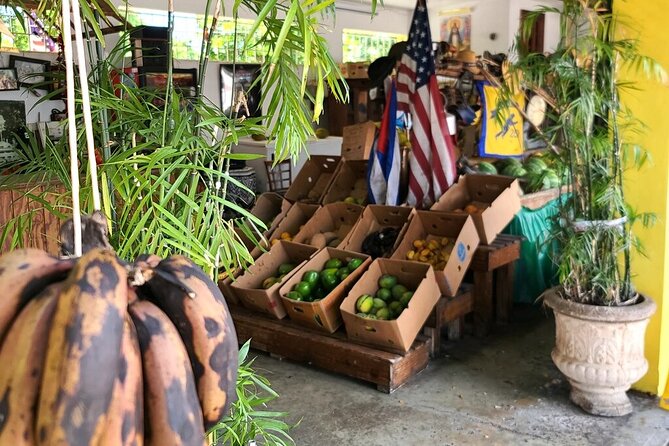 Little Havana: Authentic Food and Culture Walking Tour - Coffee, cigars, and the craft behind the souvenirs