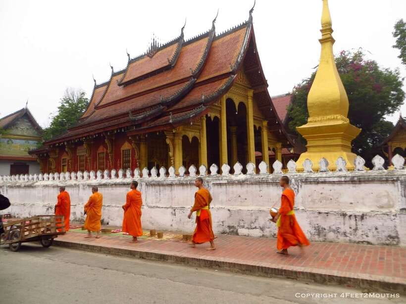 Luang Prabang: Foodie Walking Tour & Monk Blessing - Starting at Joma Bakery in Luang Prabang