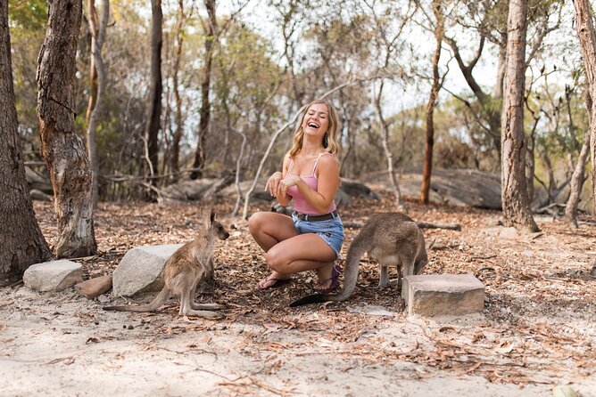 Luxury Hunter Valley Wildlife & Wine Tasting Tour from Sydney - Comfort, pace, and group size