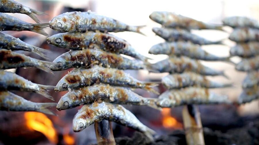 Malaga: PREMIUM TAPAS TOUR Paella, Tapas, Winery & Flamenco - Should you book the Malaga Premium Tapas Tour?