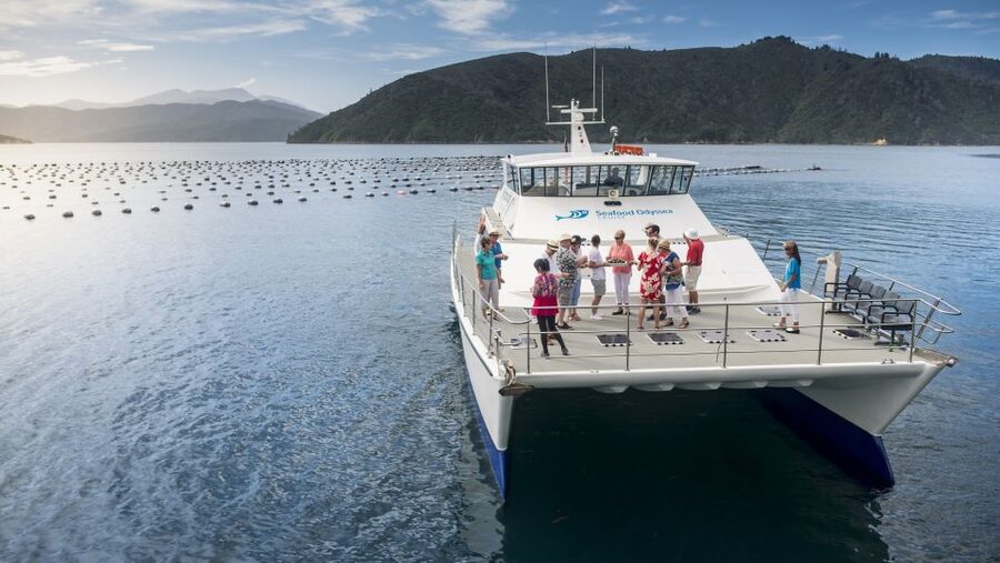 Marlborough: Full-Day Wine and Seafood Tour with Cruise - Three hours through the Queen Charlotte Sound