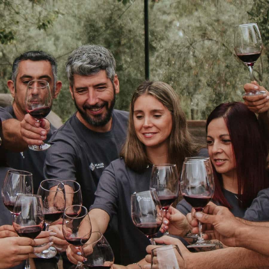 Mendoza: Wine Tasting Tour with Lunch and Private Transport - Key Points Before You Book