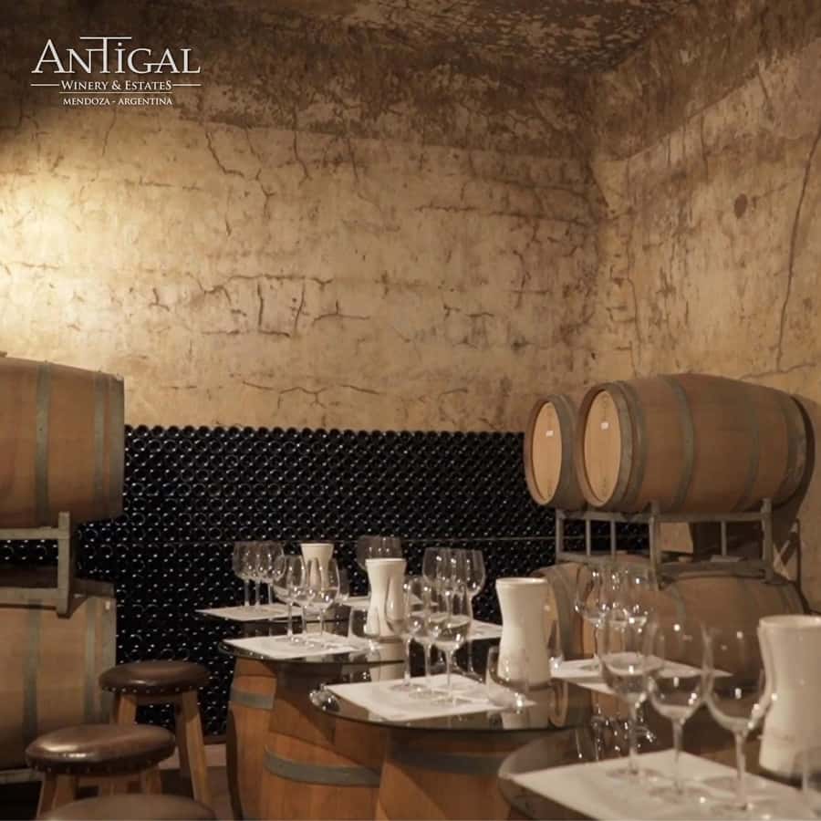 Mendoza: Wine Tasting Tour with Lunch and Private Transport - Why This Mendoza Wine Day Works