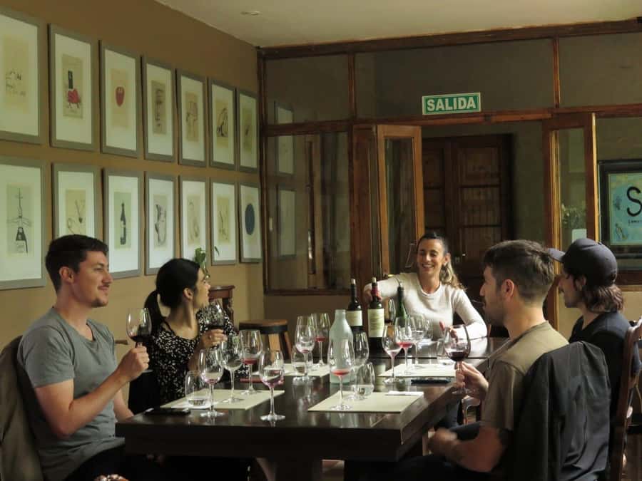 Mendoza: Wine Tasting Tour with Lunch and Private Transport - First Winery: Production, Vineyards, and the First Tasting