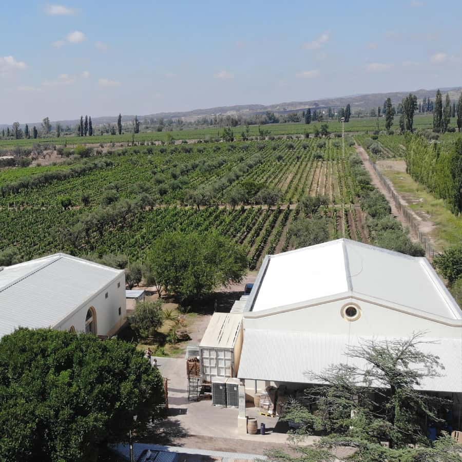 Mendoza: Wine Tasting Tour with Lunch and Private Transport - Andes Views and the Sense of Place